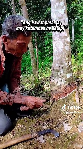 Rubber Farming Process: Hindi Madali pero Rewarding
