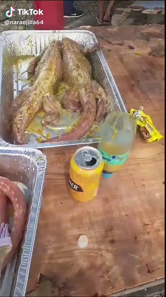 Partido de la TRI: Ecuador vs Chile en Vivo