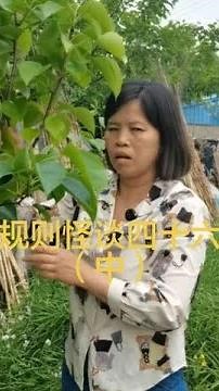 更新规则怪谈第四十六集（中）了！ #悬疑惊悚 #规则怪谈 #细思极恐 #剧情