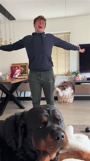 Funny Rottweiler Moments: Daily Pet Adventures