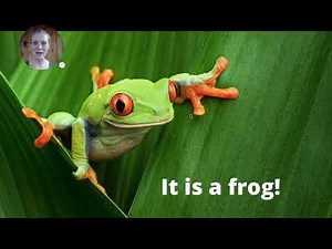 Mystery Photo Animal Guessing Game PREVIEW Fun Zoom Game for Pre-K and Lower Elementary - Vocabulary