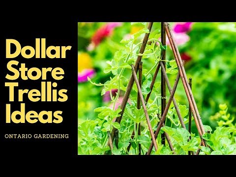 Dollar Store Trellis Ideas // Garden VLOG