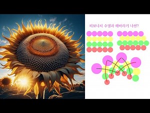 6. 피보나치수열과 해바라기 나선ㅣGSP5