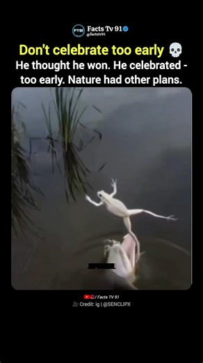 Nature Punishes Overconfidence Instantly