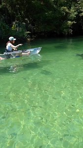 Wildy fun start to the week in Weeki Wachee! 🐬 | Get Up And Go Kayaking
