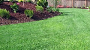 Choosing The Right Grass Seed