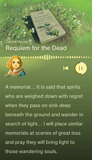 Princess Zelda memory 16