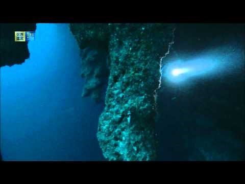 Belize Barrier Reef Reserve System (UNESCO/TBS)