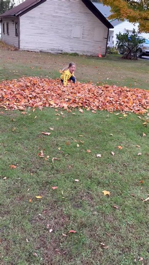 David Lasley on Reels