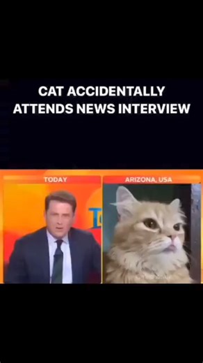 3.1M views · 10K reactions |  | Myclosingthoughts | Facebook