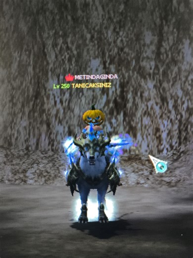 Metin2'daki Anılar: Özlem ve Eğlenceler