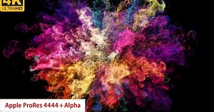 Color Powder Explosion