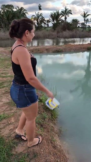 Fish Feeding Time at the Pond | Village Life Fish Farm #farming #villagelife