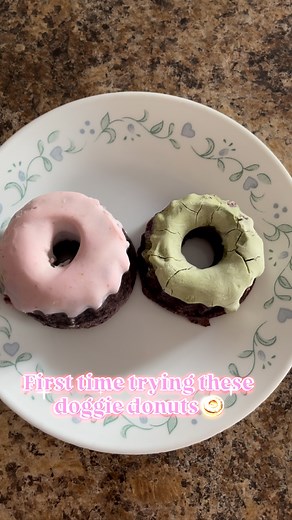 First time trying donuts from @_fetchandfrost_dogbakery Taste testers 🐶 🐶 all approve of the doggie donuts 🍩 #bellathehuskymix #dog #dogsofinstagram #treats #doggie #donuts #dogfriendly #dogsapproved #yummy #dogbakery #fetchandfrost | Bella.husky.mix