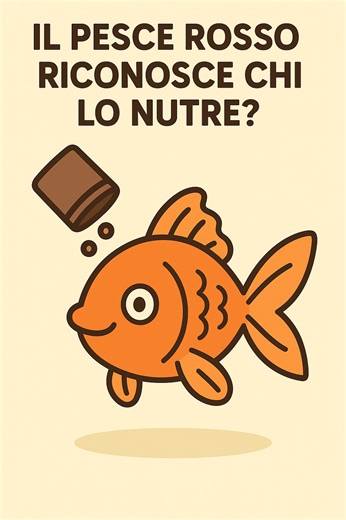 Animali Facili | Il Pesce Rosso Riconosce Chi Lo Nutre? #pescerosso #pesci #animalifacili | Instagram