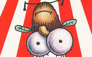 Fly Guy's Amazing Tricks