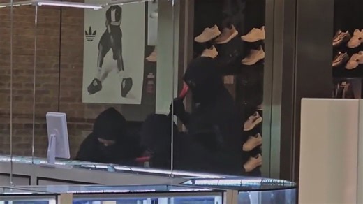 Jewelry Robbery at Concord's Sun Valley Mall