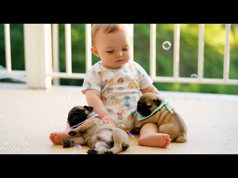 The Most Adorable Bubble Catch Ever! | Baby and Puppy Fun at Home