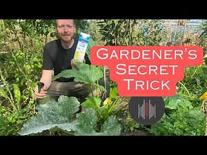 How to Treat Powdery Mildew Naturally - Milk and Water Spray Remedy