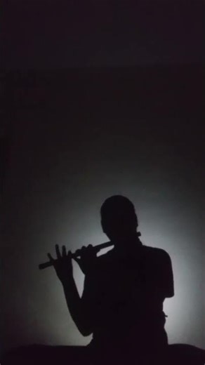 Life goes on by BTS | Flute version| #bts #army #btsarmy #kpop #music