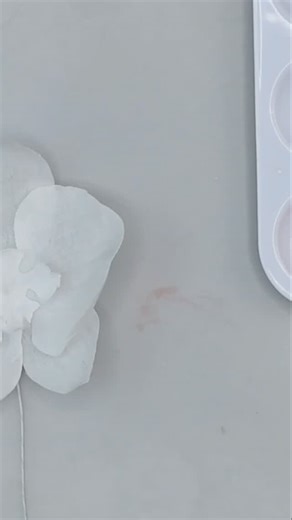 Chef Anna | Florea Cakes on Instagram: "If you want your wafer paper flowers to look soft and painterly, here’s my favorite trick. Mix your gel color with high-proof alcohol instead of water — that’s how you get that beautiful watercolor effect without melting the paper. I start by painting the center of the orchid a deep yellow, just like a real one. Then I add a touch of red or dark pink, using the same alcohol mixture, and paint tiny dots and patterns across the petals. You can look up real o