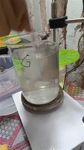 salah satu step proses sepuh atau pewarnaan gold order di kami silahkan kirim desain yang kalian mau konsultasi kan dulu garansi luntur 1thn dan dapat dompet batik dari Ben titanium.#kalungcustom #liontincustom #customplattitanium #customliontinsalib