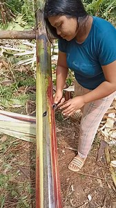 Sideline tag asnet.💪😁 #poor | Awanon Honey My