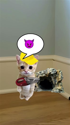 Antcat vs Elgato Part 1 🐱❤️ #catmemes #cat #shorts #fyp #bananacat