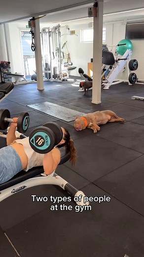 1.2K views · 32K reactions | There’s always that one person  #dog #dogs #puppy #funnydog #gym #workout #americanbully #staffy #dogsofinstagram | Lulu & Tuktuk | Facebook