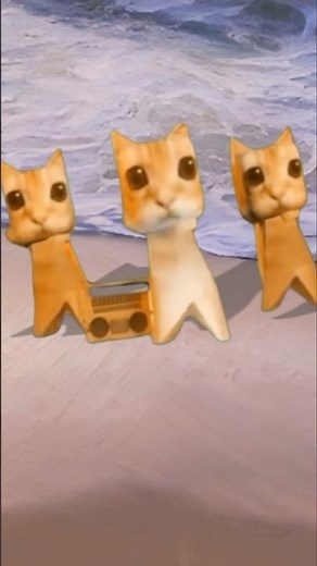 Gatito Miau Miau 🐱 360° VR Cat Experience