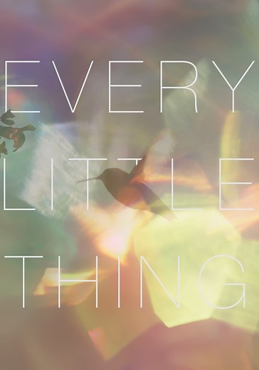 Every Little Thing streaming: where to watch online?