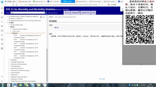 ICD-11实操03