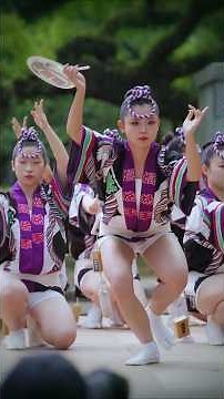 【阿波踊り2026】#徳島城阿波おどり #娯茶平 #祭り #ダンス