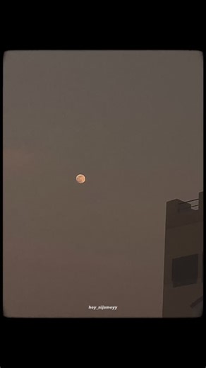 Hey nijameyy 🤍 on Instagram: "🤍🪽 . Follow for more @hey_nijameyy 🤍 . . #tamil #tamilnadu #tamilcinema #tamilmemes #tamilactress #tamilsongs #tamilstatus #tamilsong #tamilbgm #tamillyrics #tamilmusic #tamilsonglyrics #tamilmovie #tamillovesong #tamillovestatus #tamilwhatsappstatus #tvk #thalapathy #rcb #hey_nijameyy"