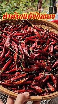 How to make dried chili peppers. Do this and your chili peppers will dry quickly, safely, and wit...