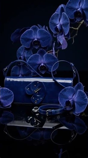 From Product Photo to Luxury Campaign