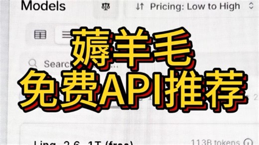 免费API推荐openroter