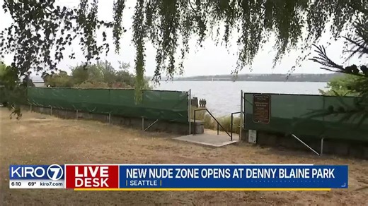 VIDEO: Person tries to vandalize Denny Blaine Park's new fence