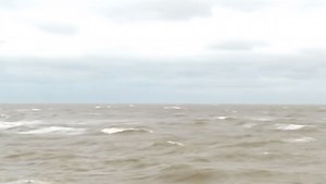 Mathabatha calls for intervention to curb scourge of drownings in Mozambique - SABC News - Breaking news, special reports, world, business, sport coverage of all South African current events. Africa's news leader.