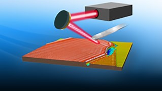 2D Material Characterization Using Photothermal AFM-IR and s-SNOM