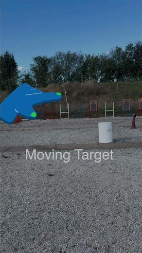 IPSC target