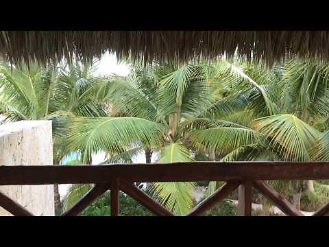 Secrets Cap Cana - Preferred Club Bungalow Suite Pool View