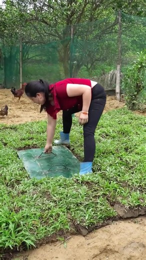 #survival #bushcraft #garden #singlemom | survival craft