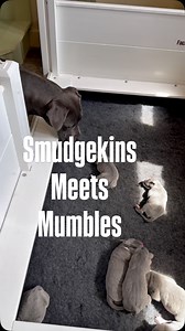 453K views · 16K reactions | This is exactly how it happened — no...