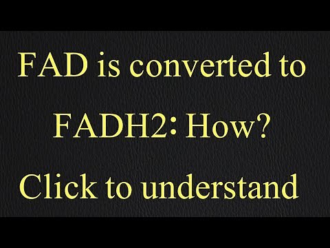 How FAD is converted into FADH2 || Dr Saghir Ahmad