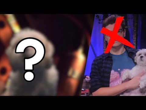 A Brand New Kill Count Host