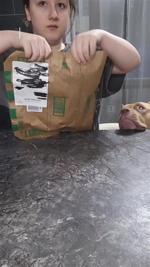 ✨️Wrinkly drooly bulldog problems? you need these amazing pet wipes!!#creatorsearchinsights #tiktokshopsparkcreator #tiktokshoploveatfirstfind #loveatfirstfind #tiktokshopcosmetics