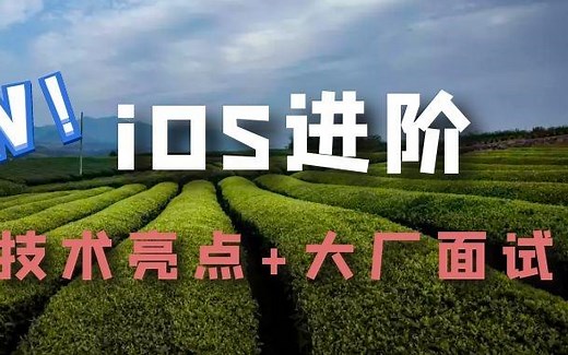 iOS程序员进阶底层学习：大厂面试讲解+iOS音视频编解码+iOS底层集合