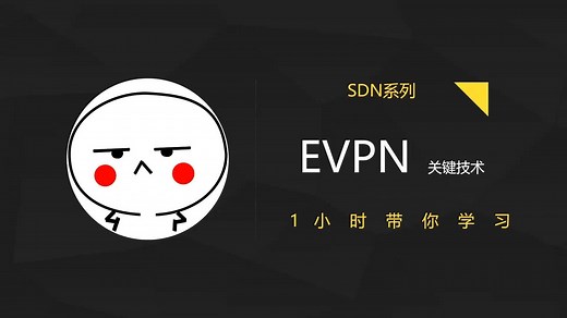 MPLS-EVPN 系列1- VPLS原理介绍