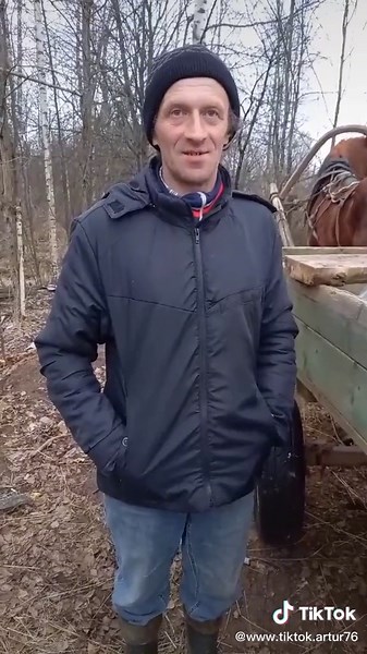 Horse Drawing Hay in Wooden Cart Outdoors